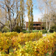 Illustration for article titled This Modern Home Frames the Winery Around It With Weathered Steel